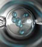 חשד לייבוא ביציות מופרות עם מחלה קשה לטיפולי הפריה - החקירה בעיצומה-תמונה